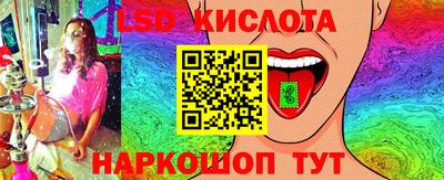 мет Кингисепп