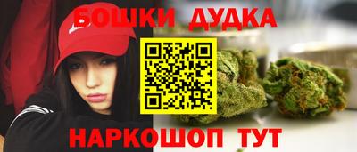 мет Кингисепп